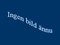 Ingen bild
